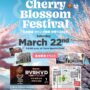 2025年3月22日(土) キャンプ座間 桜祭り Cherry Blossom Festival (米軍基地開放)