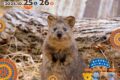 2025年10月25日(土)～ オーストラリアフェア2025 @ 埼玉県こども動物自然公園