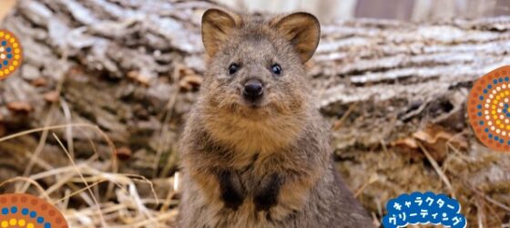 2025年10月25日(土)～ オーストラリアフェア2025 @ 埼玉県こども動物自然公園