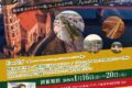 2026年1月16日(金)～ カウナスウィーク 2026 @ ひらつか市民プラザ他
