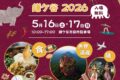 2026年5月16日(土)～ スリランカフェスティバル鎌ケ谷 2026 @ 鎌ヶ谷市役所駐車場