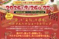 2026年9月26日(土)～ ベトナム・バインミーフェスティバル 2026 @ 新宿中央公園